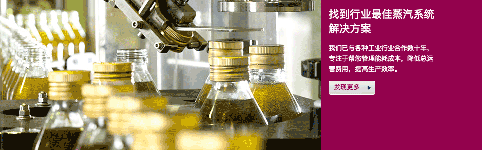 了解蒸汽給您帶來的益處